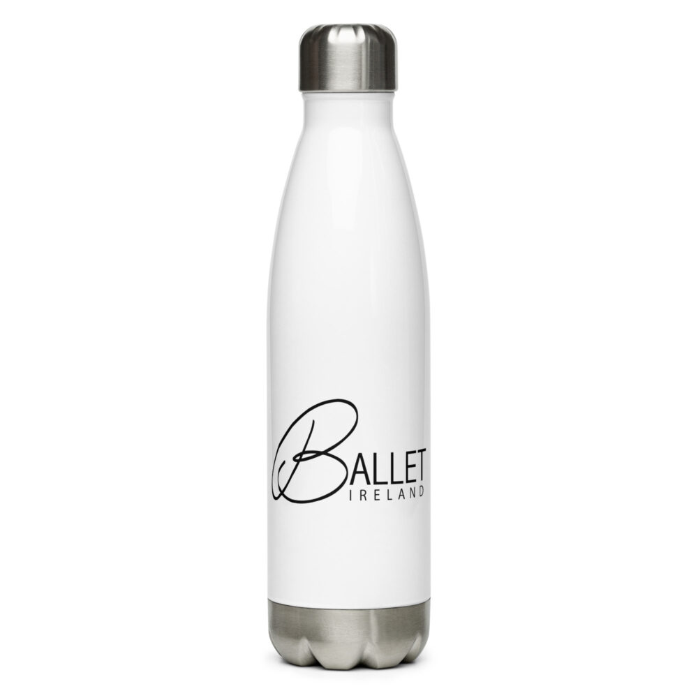 Stainless Steel Water Bottle - Image 3